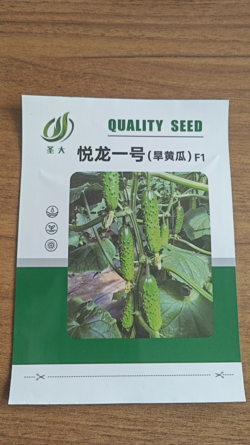 旱黄瓜种子黄瓜种子产量高水果黄瓜种子