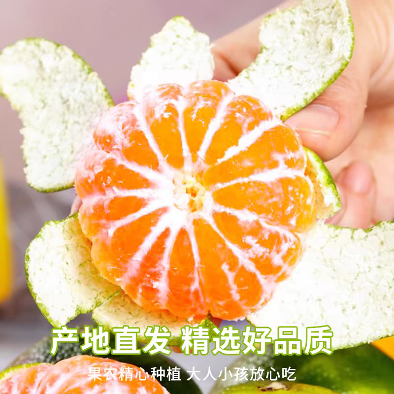 湖北蜜橘/特早蜜橘量大从优一手货源产地直发包装找车