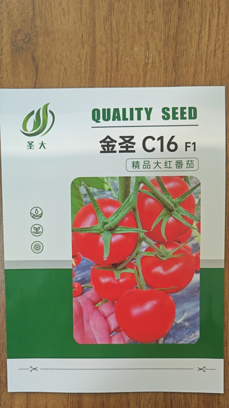 大红番茄种子金圣C16抗病毒硬果石头果萼片美观光泽度好