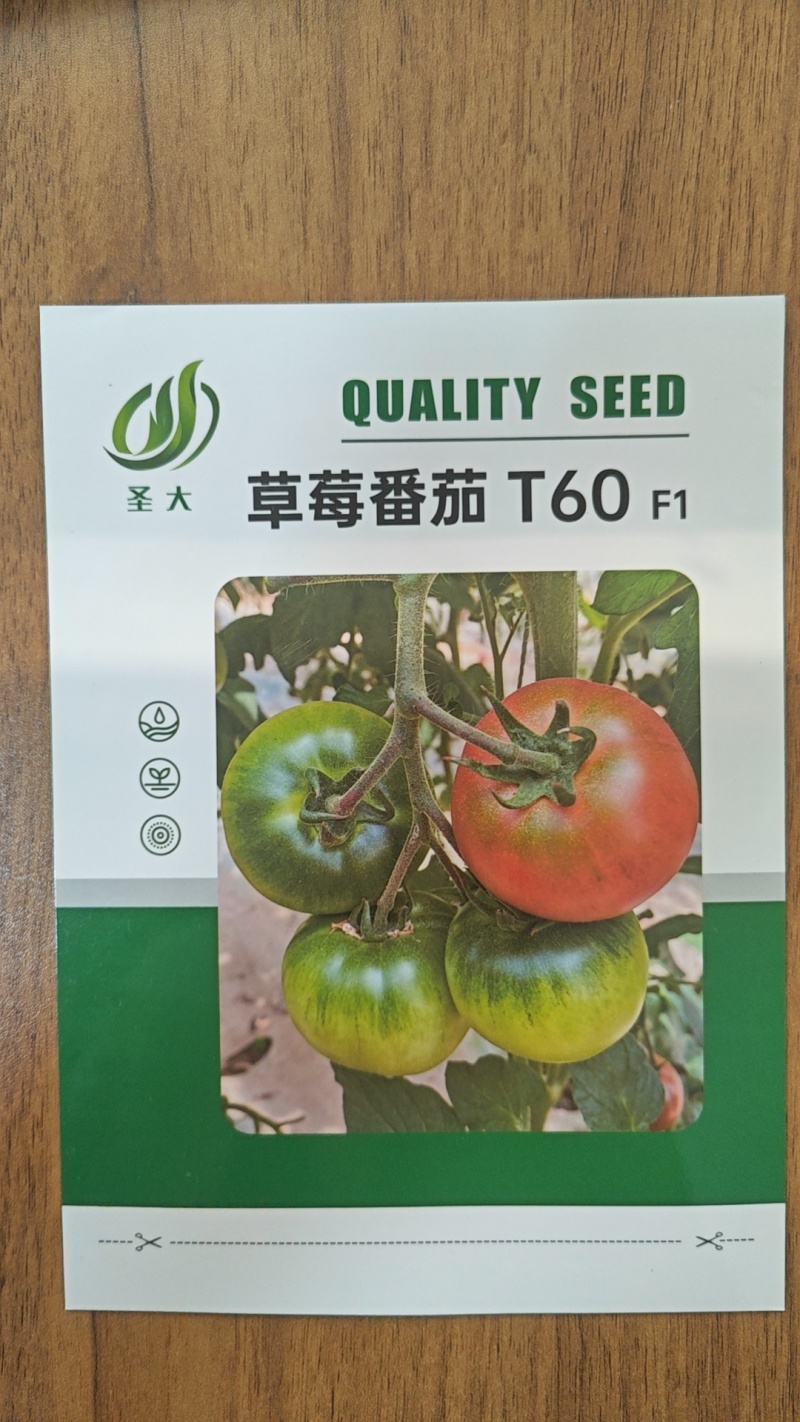 草莓西红柿种子铁皮柿子口感西红柿种子汁多籽大铁皮西红柿