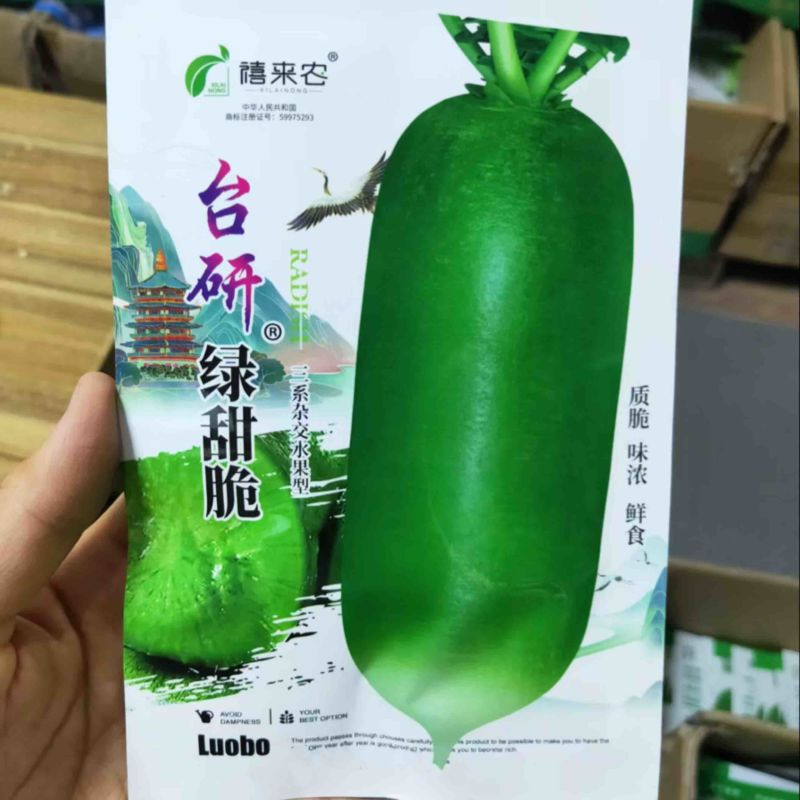 绿甜脆水果萝卜种子绿皮绿肉肉质脆味甜汁多不易糠心秋季播