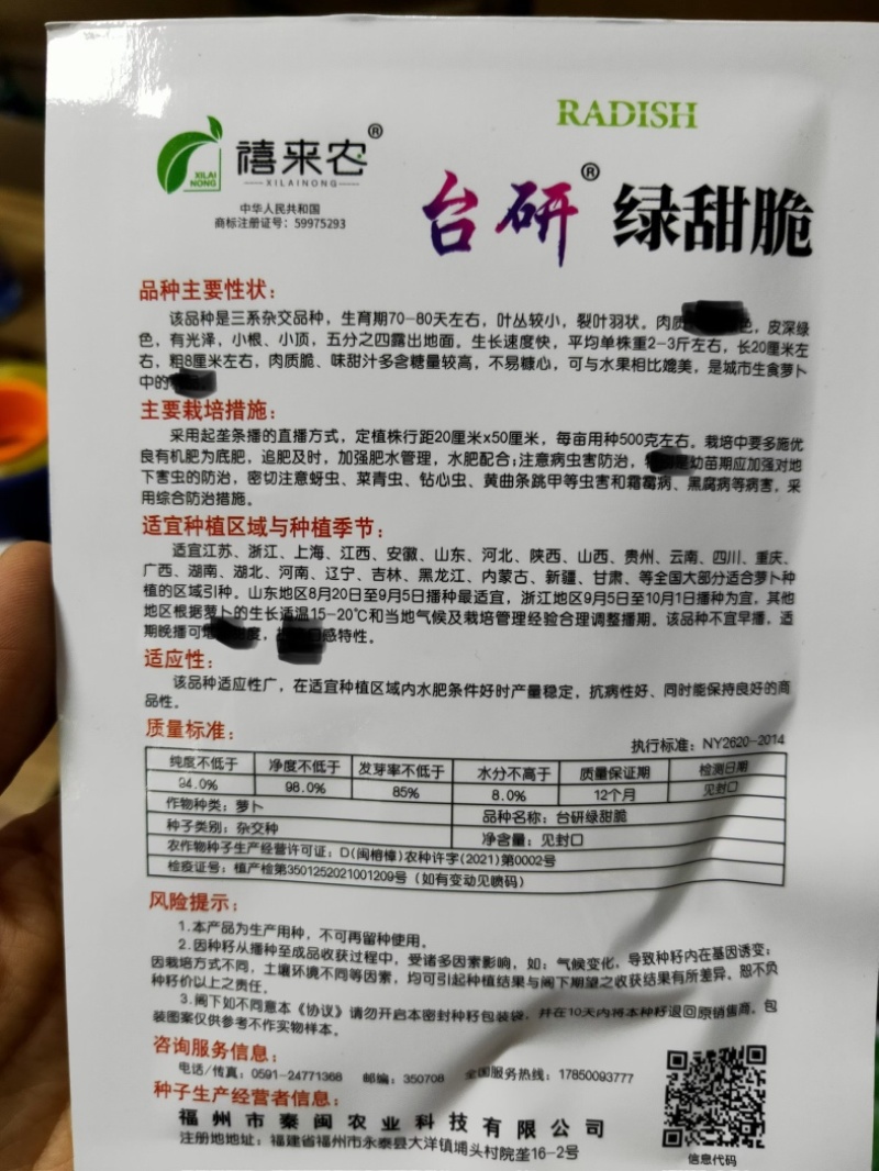 绿甜脆水果萝卜种子绿皮绿肉肉质脆味甜汁多不易糠心秋季播