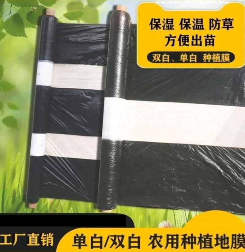 黑白地膜地膜单白双白地膜蔬菜土豆红薯西瓜草莓玉米用