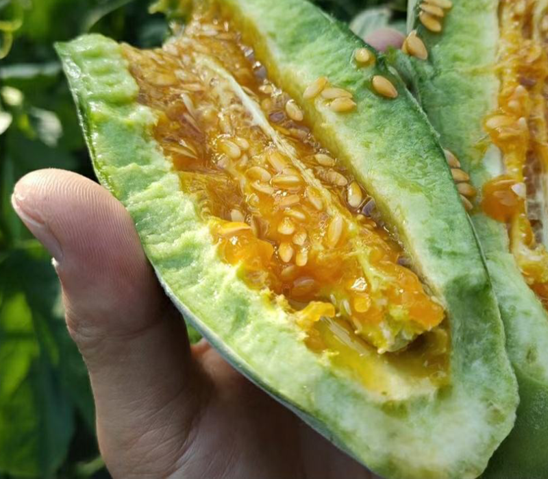 羊角蜜长年供应，直供团购，电商批发商