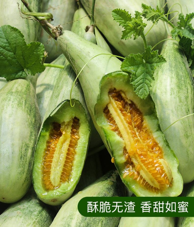 羊角蜜长年供应，直供团购，电商批发商