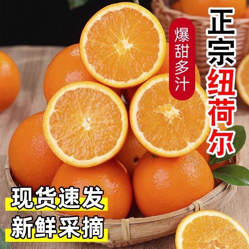 湖北脐橙/纽荷尔脐橙，秭归脐橙，产地一手货源，价格美丽