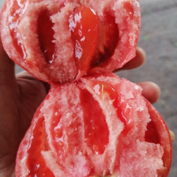 口感西红柿