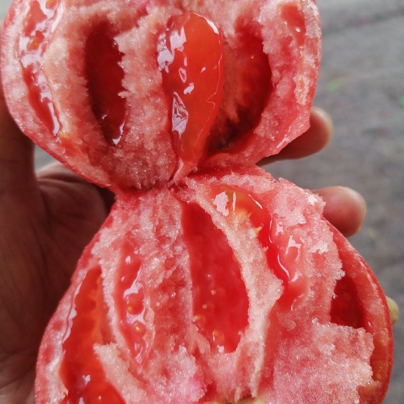 口感西红柿