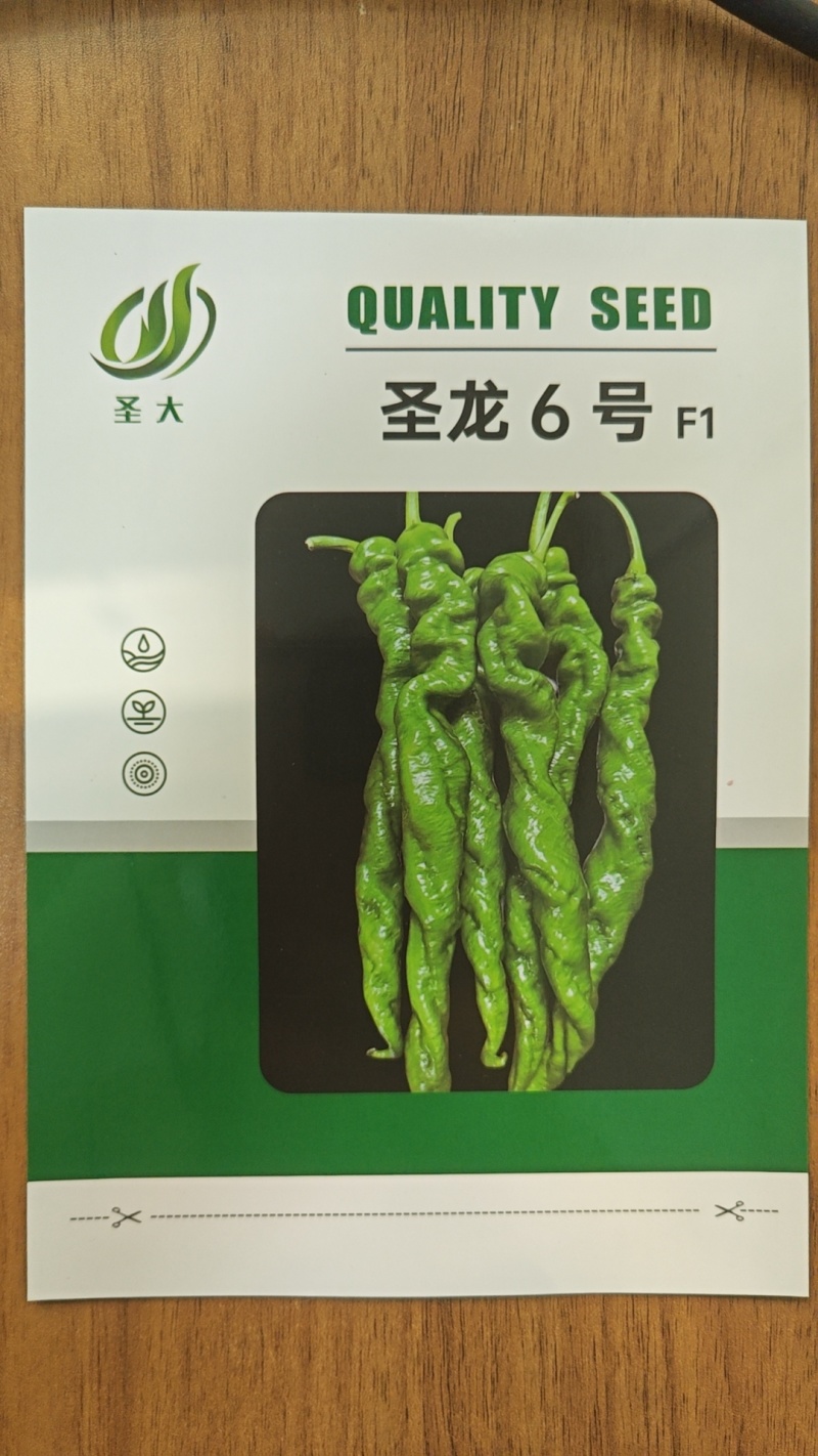 圣龙六号全螺型螺丝椒种子果皮深绿亮螺旋度好顺直度好耐低温