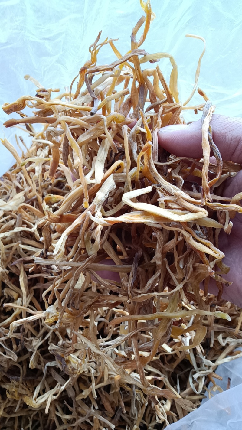 【好货推荐】新货二级祁东黄花菜线下有实体店全年供货