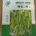 黄皮大尖椒种子辣椒种子亮黄绿色辣度适中产量高好管理