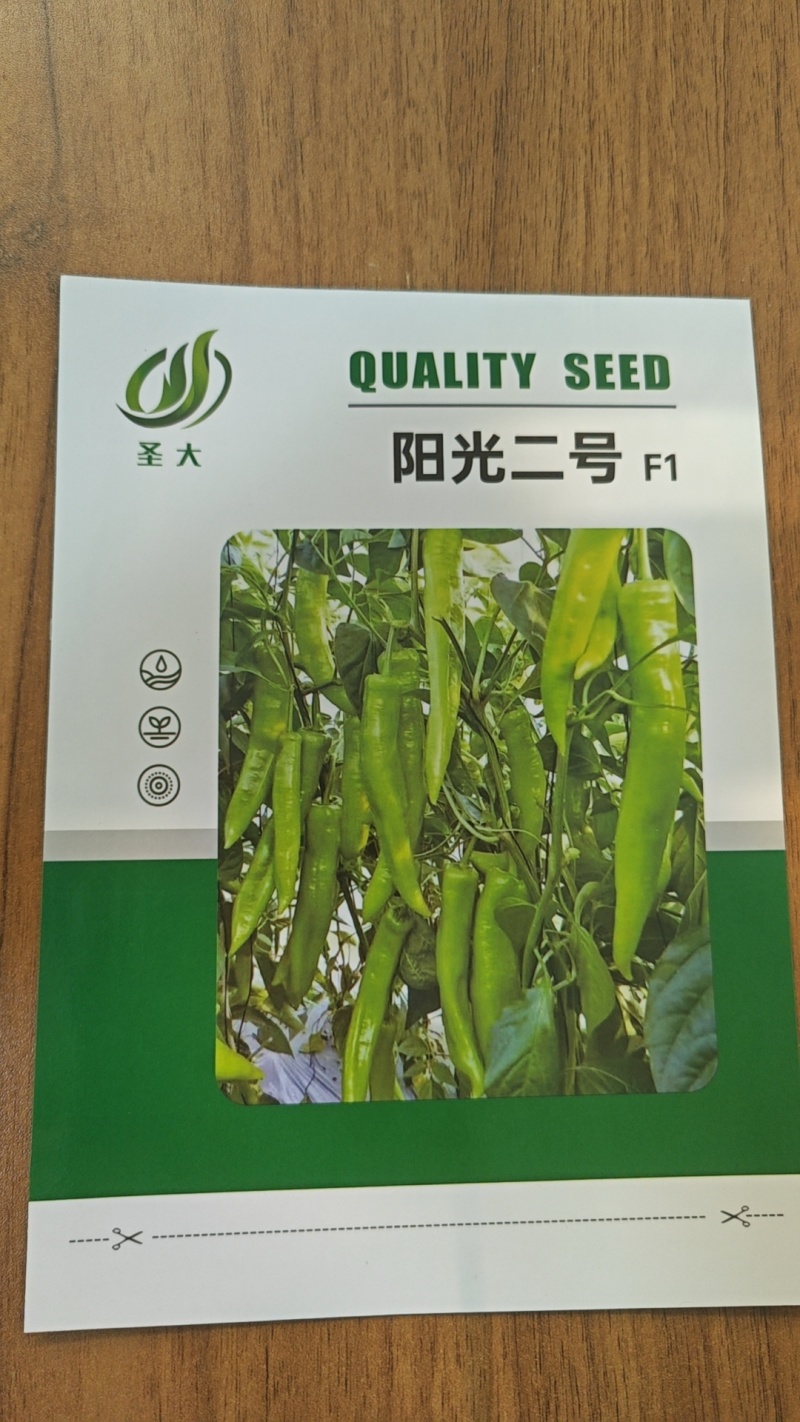 黄皮大尖椒种子辣椒种子亮黄绿色辣度适中产量高好管理