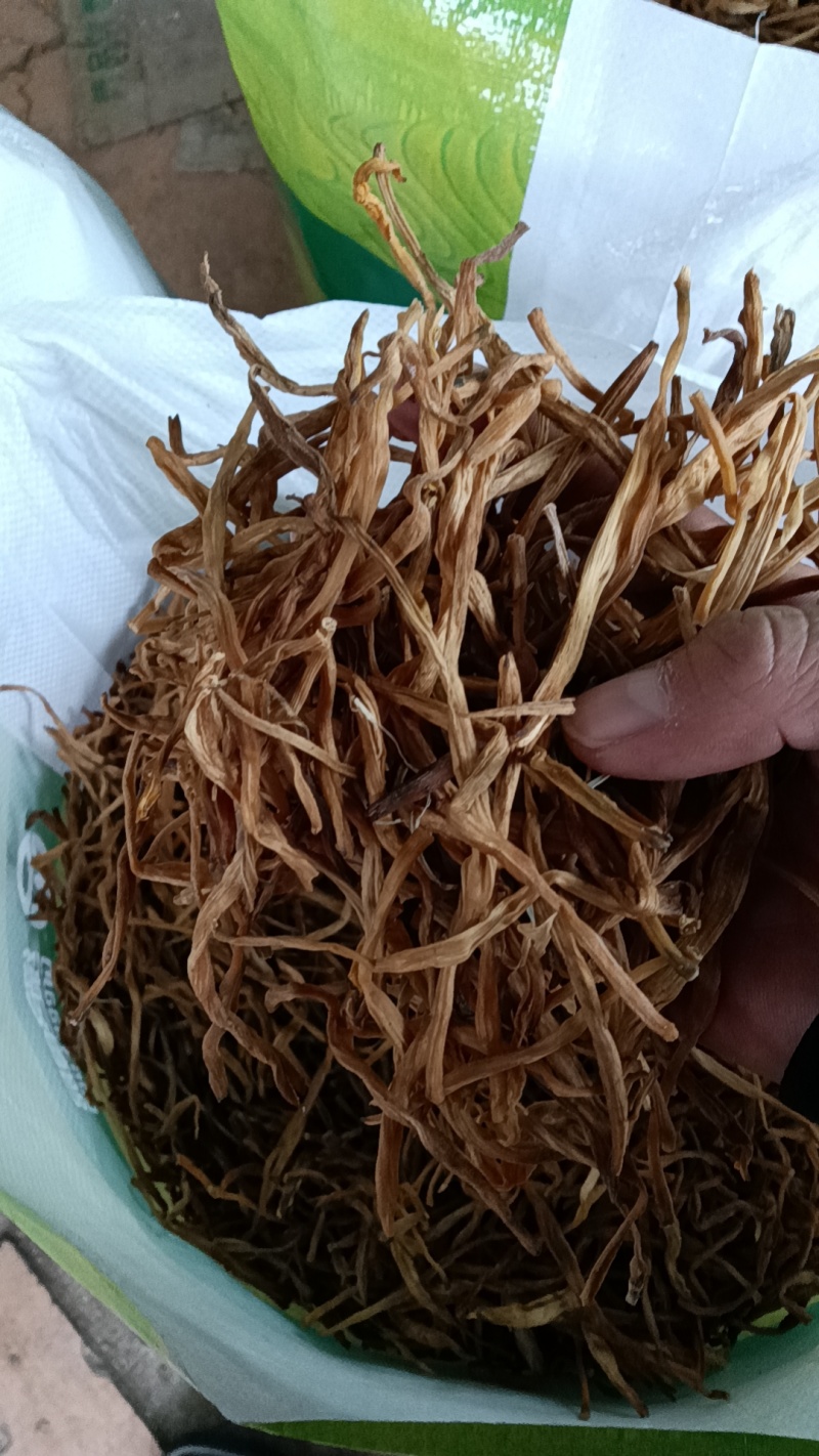 【精选二级干黄花菜】2021年新货启动黄花菜基地现发