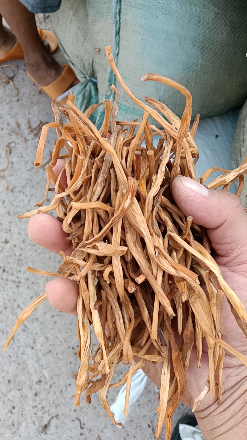 【好货推荐】湖南祁东县黄花菜西北特级干黄花菜全年供货