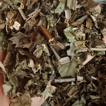 泽兰中药材草药2斤包邮量大优惠欢迎选购