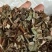 泽兰中药材草药2斤包邮量大优惠欢迎选购