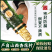 山西杏花村汾酒竹叶酒新款45度养心竹瓶装750ml送礼