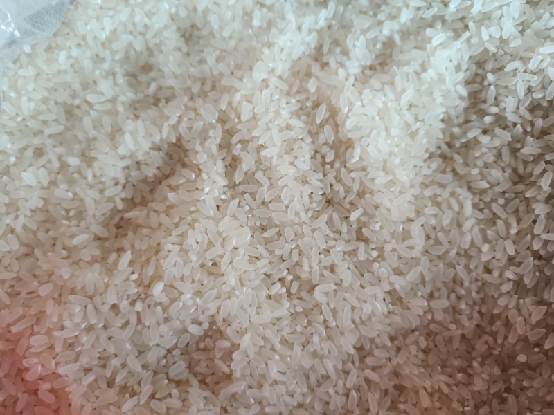 东北稻花香大米口感好品质保证产地直发农户自产自销