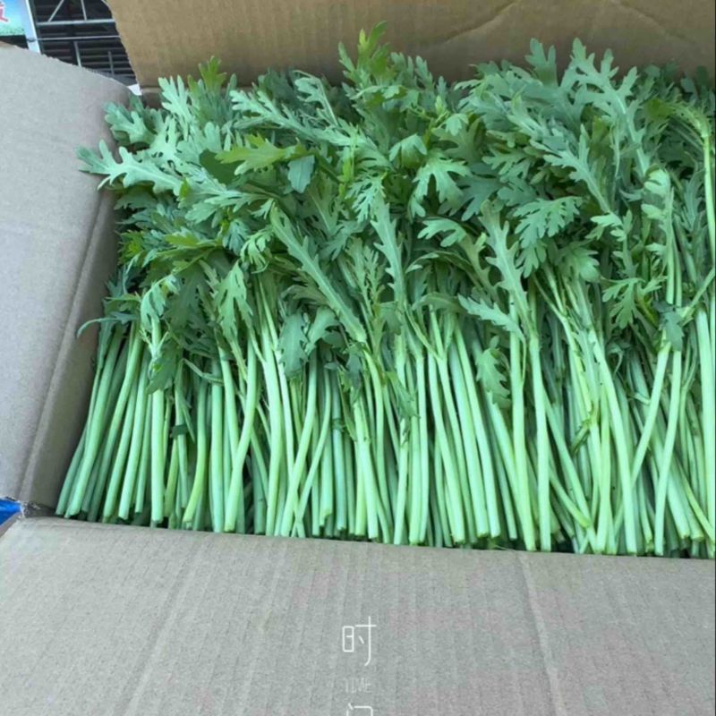 【茼蒿】产地直发一手货源量大价优可视频看货欢迎致电咨询
