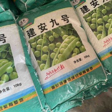 建安九号，中豌九号，南阳中豌九号，荣涛九号