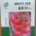 金圣03硬粉西红柿种子番茄种子抗线虫抗黄头高圆型