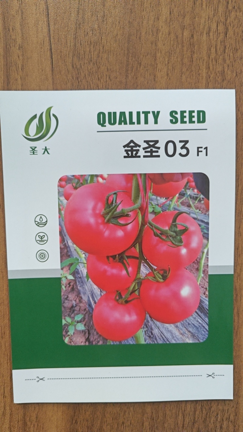 金圣03硬粉西红柿种子番茄种子抗线虫抗黄头高圆型