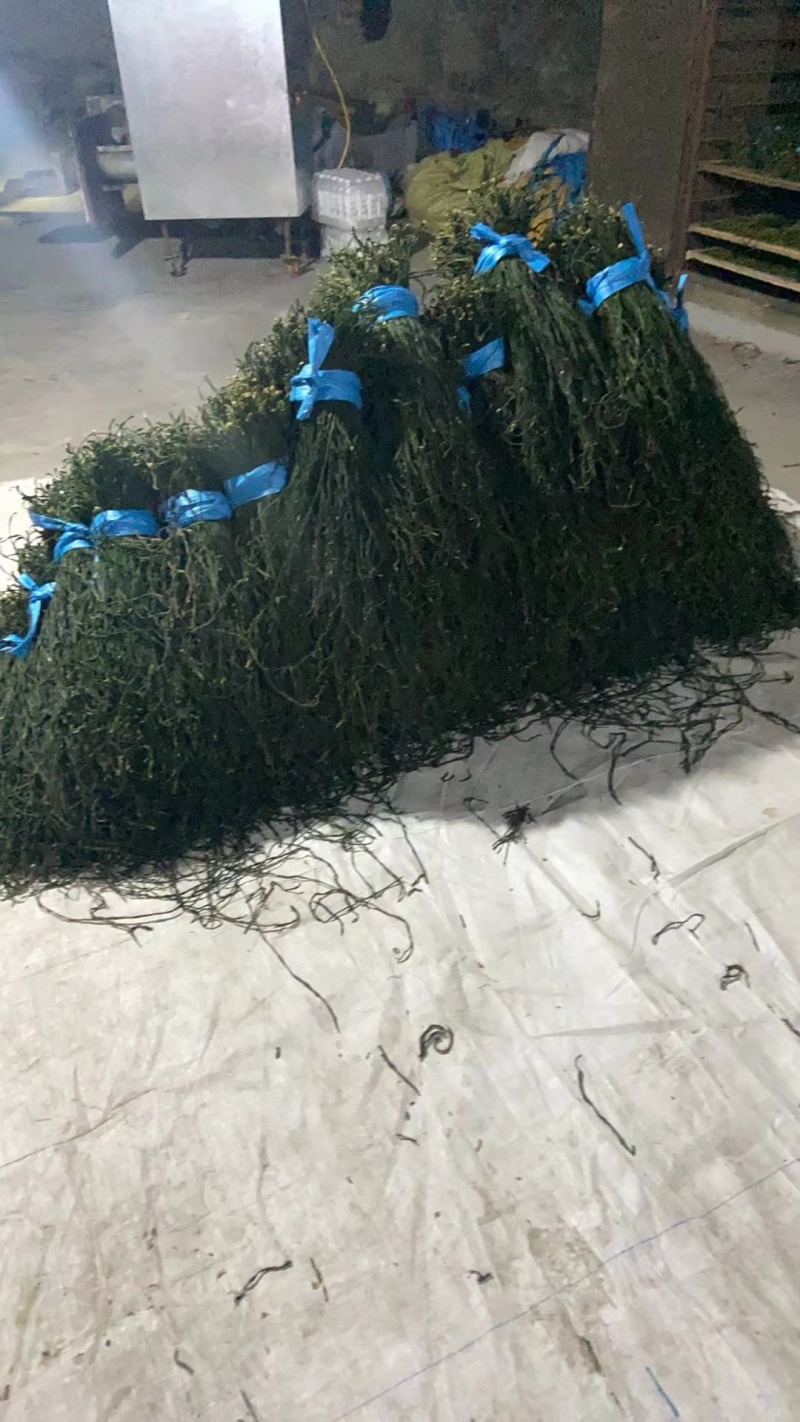 干豆角