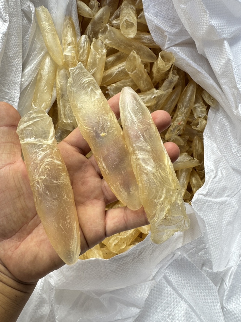 咸水筒白花胶花胶鱼胶80-100头一斤