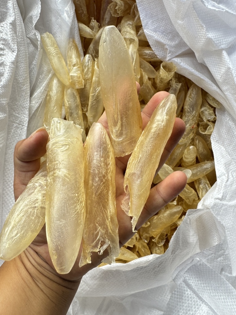 咸水筒白花胶花胶鱼胶80-100头一斤