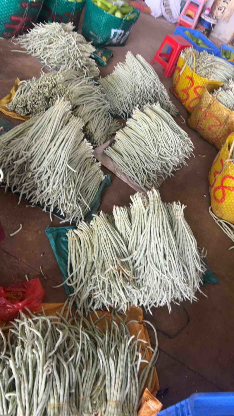 广东精品白甜豆角，一手货源，上货快，质量好，实力代办