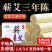艾条，正宗蕲艾，源头工厂自产自销，纯艾叶存放三年卷制而成