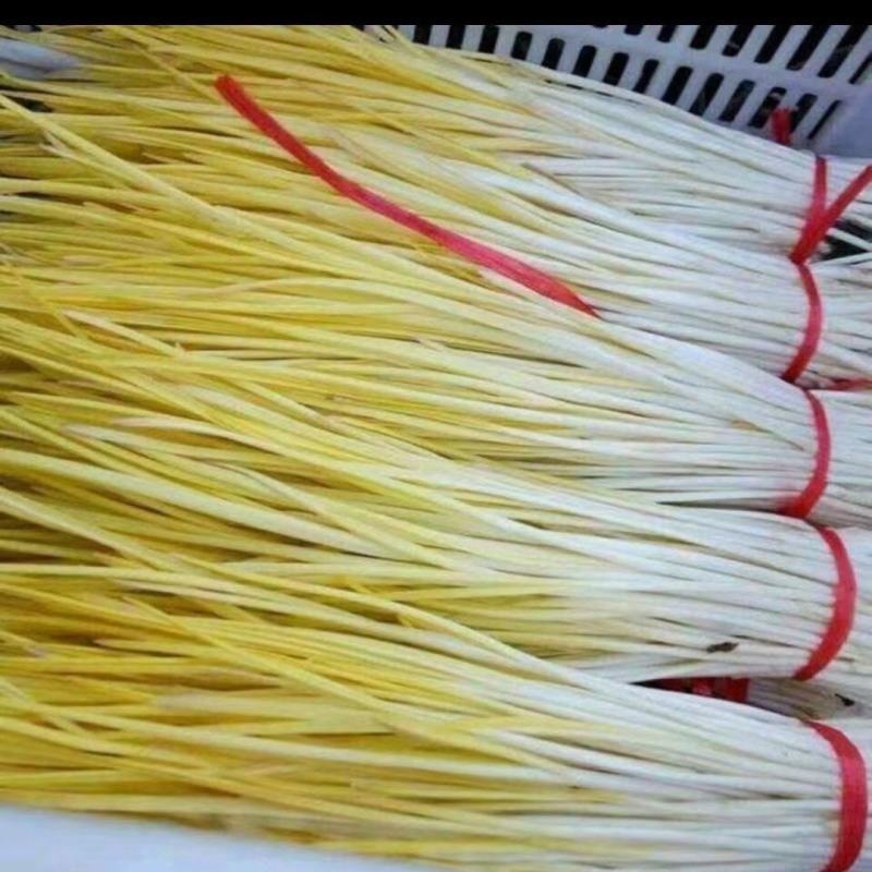 精品蒜黄，棚头现割，质优价廉
