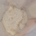 平衡型大量元素水溶肥特别添加聚谷氨酸柠檬酸磷酐微量元素