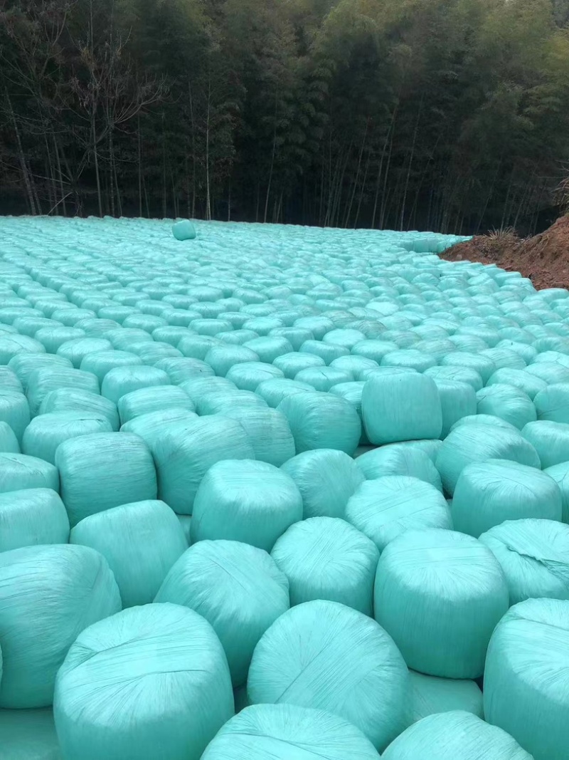 热研四号青储草料，牧草青储，青储饲料量大可议价