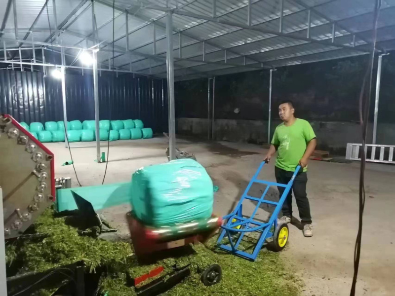 热研四号青储草料，牧草青储，青储饲料量大可议价