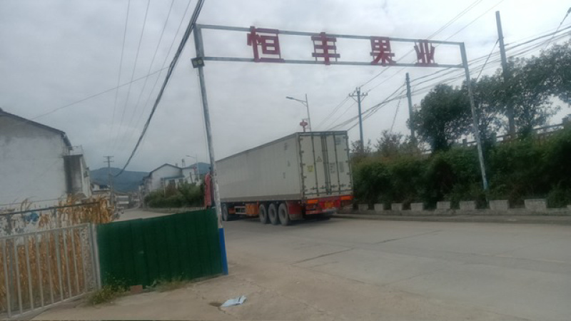 【店家推荐】城固优质蜜橘商家发货快质量有保证快来选购