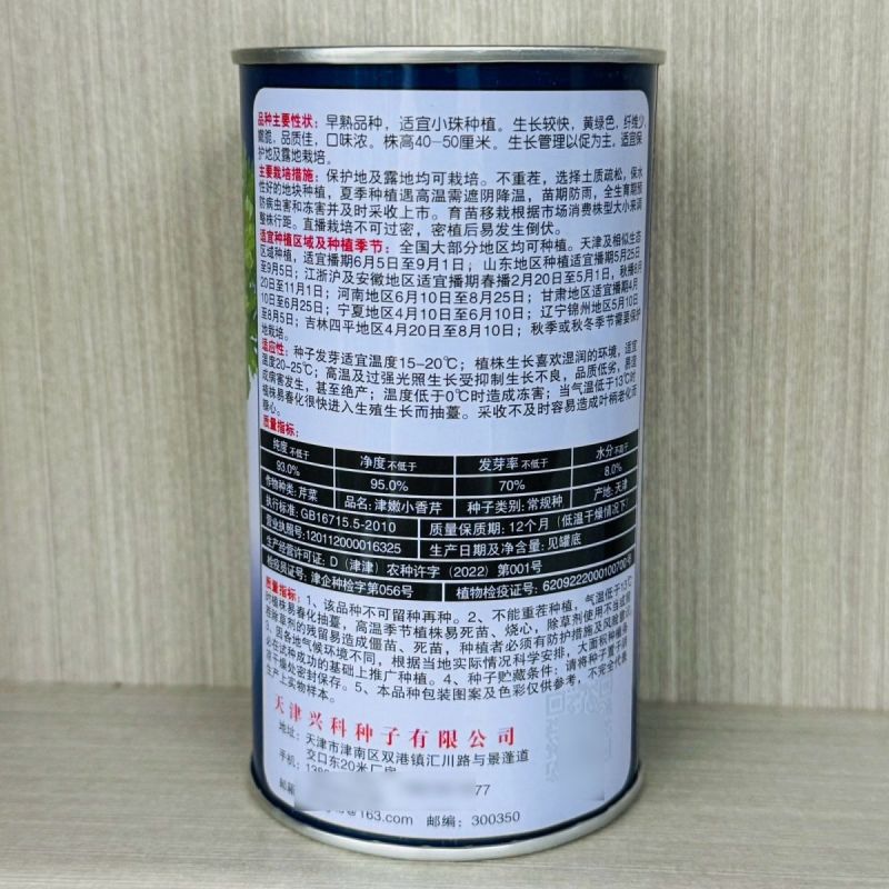 津嫩小香芹种子速生早熟纤维少口感佳基地种植芹菜种籽高产抗
