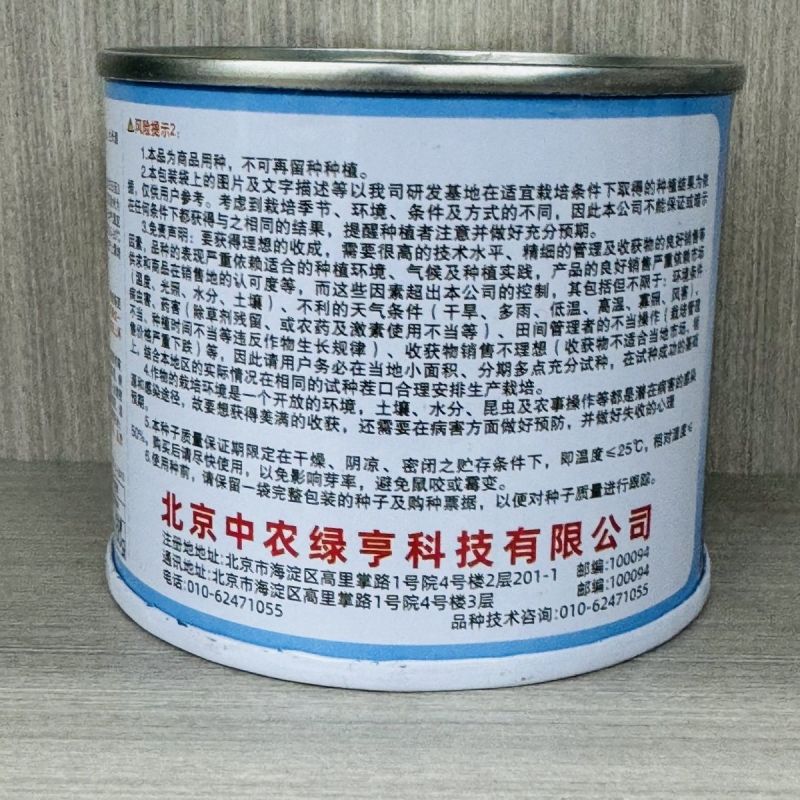 绿亨皇帝西芹种子中早熟黄绿柄香味浓郁高产耐寒高端西芹芹菜