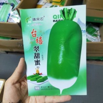 翠甜蜜水果萝卜种子早熟圆柱形耐热性好青皮青肉春秋种植