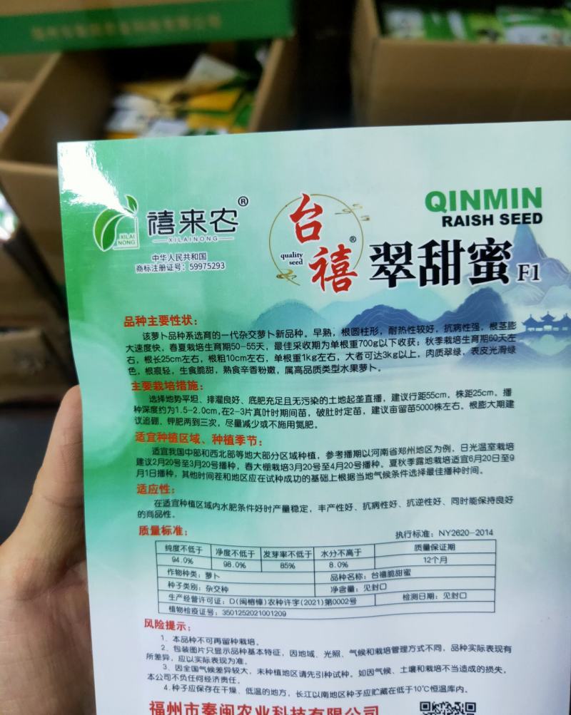 翠甜蜜水果萝卜种子早熟圆柱形耐热性好青皮青肉春秋种植