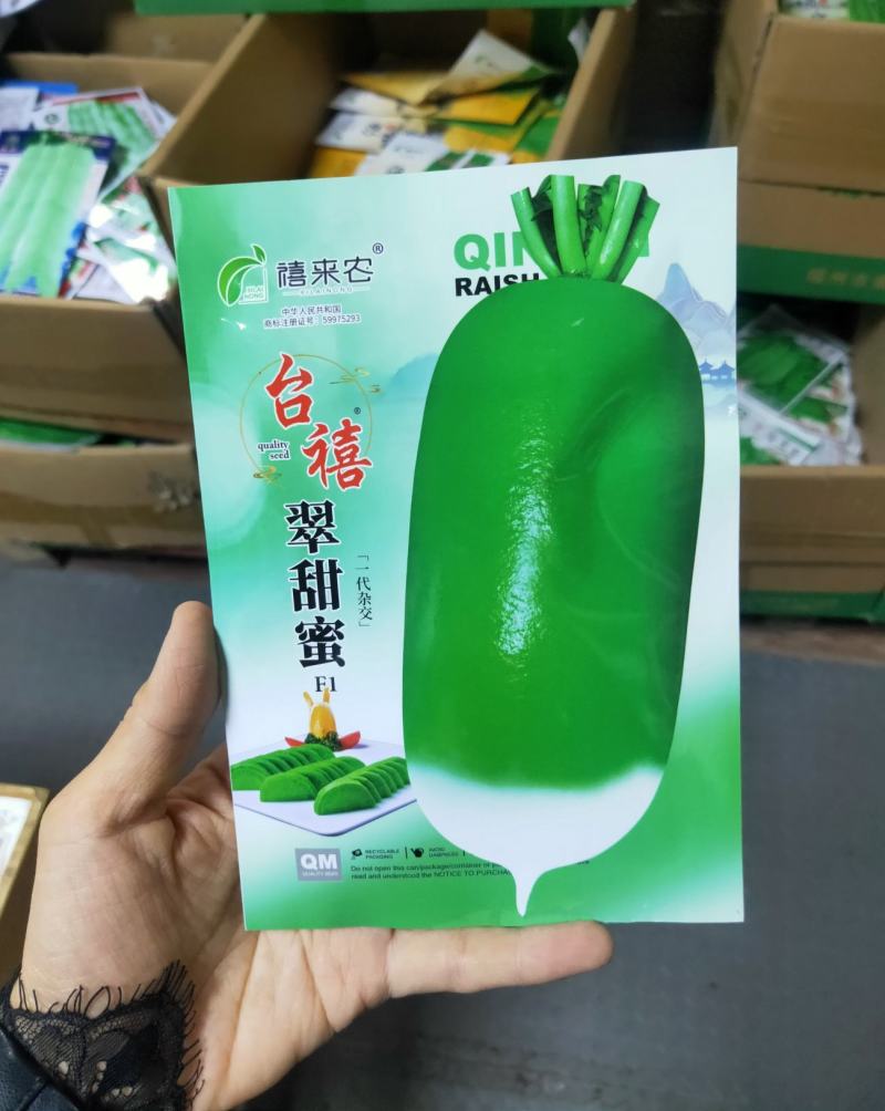 翠甜蜜水果萝卜种子早熟圆柱形耐热性好青皮青肉春秋种植
