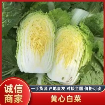 【推荐】黄心白菜，大量有货货源充足，欢迎老板来电咨询