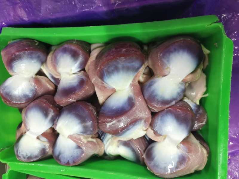 鹅胗
