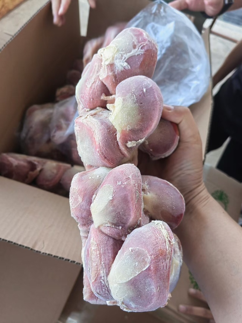 鹅胗