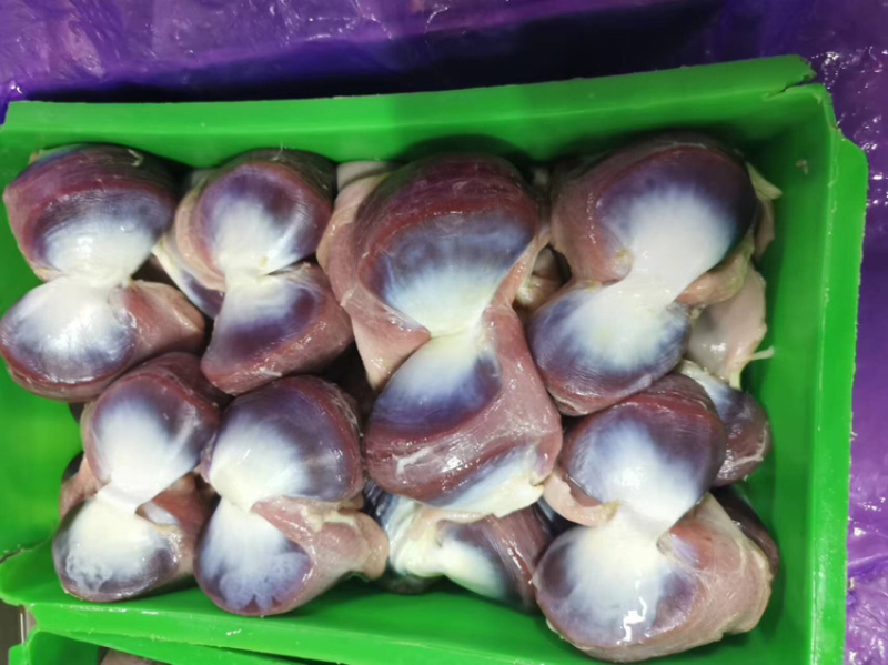 鹅胗