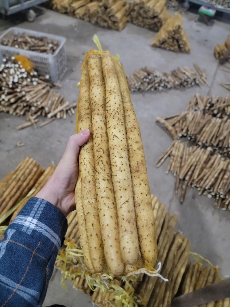 河北山药小白嘴山药代办加工自有水洗厂可视频看货