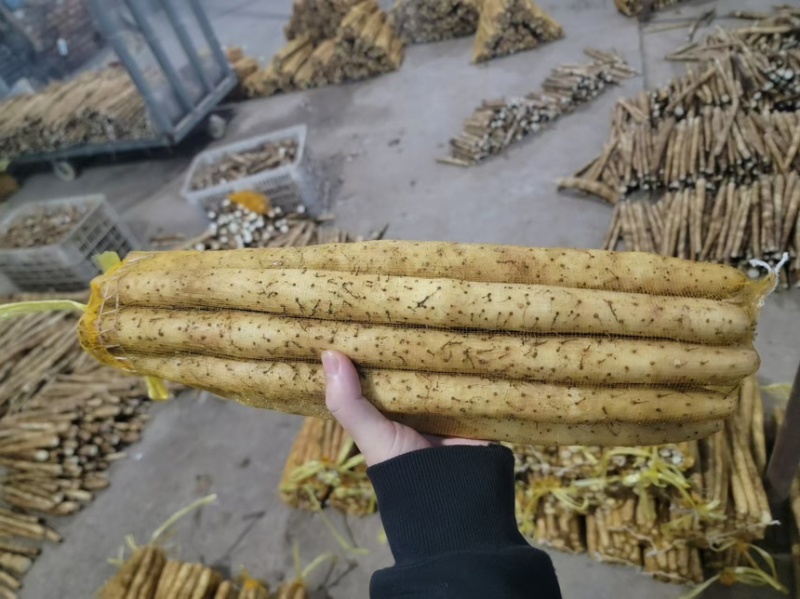 河北山药小白嘴山药代办加工自有水洗厂可视频看货