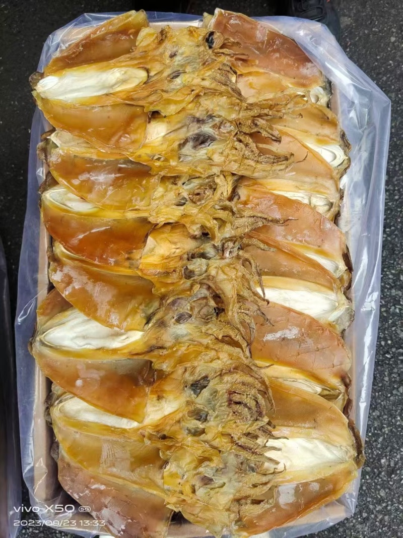 大量批发墨鱼干规格齐全，质量保证欢迎电话联系