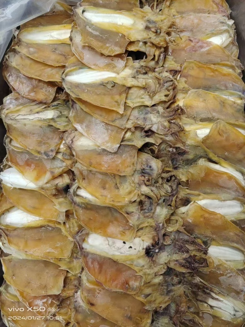 大量批发墨鱼干规格齐全，质量保证欢迎电话联系