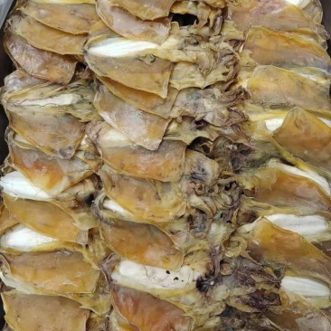 大量批发墨鱼干规格齐全，质量保证欢迎电话联系